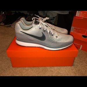 Brand New Pegasus 34